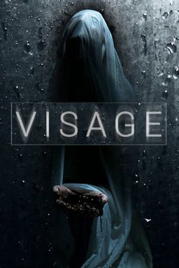 Cover art for Visage