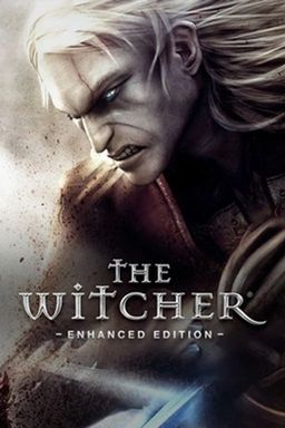 Cover art for The Witcher