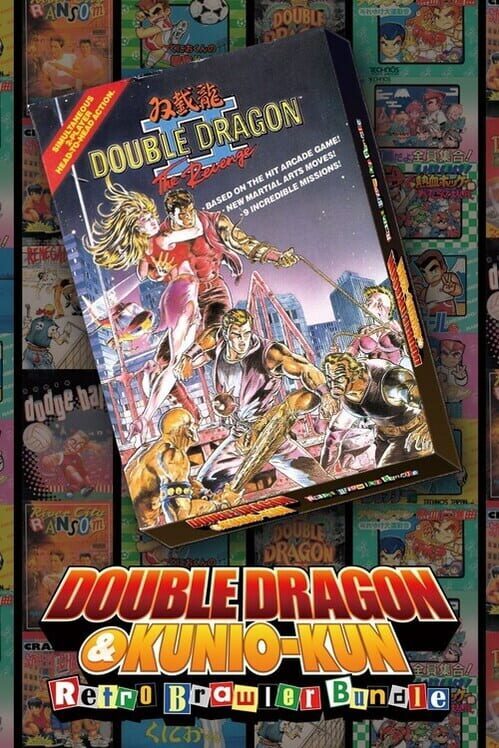 Cover art for Double Dragon II: The Revenge