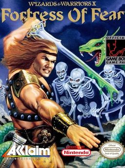 Cover art for Wizards & Warriors X: The Fortress of Fear
